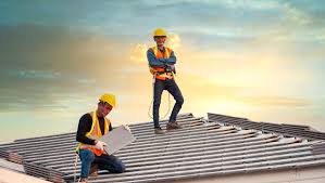 Best Roof Moss and Algae Removal  in Presque Isle, ME